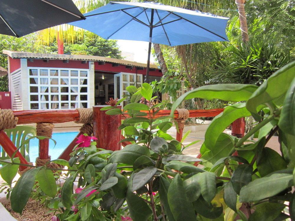 Hotel Beach Energy 5Th Av Playa del Carmen Kültér fotó